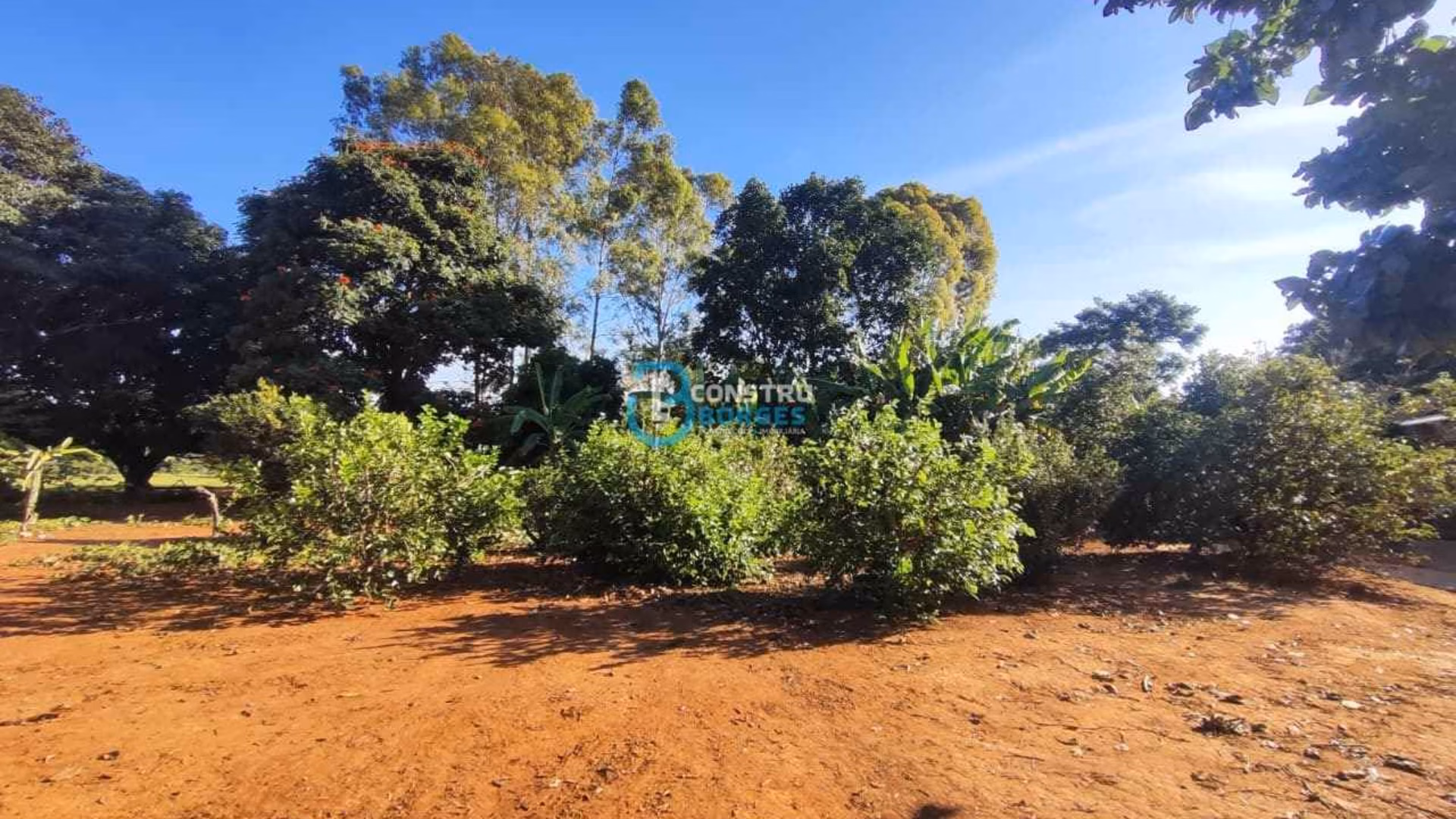 Imóvel rural em Patrocínio, MG - Foto 16
