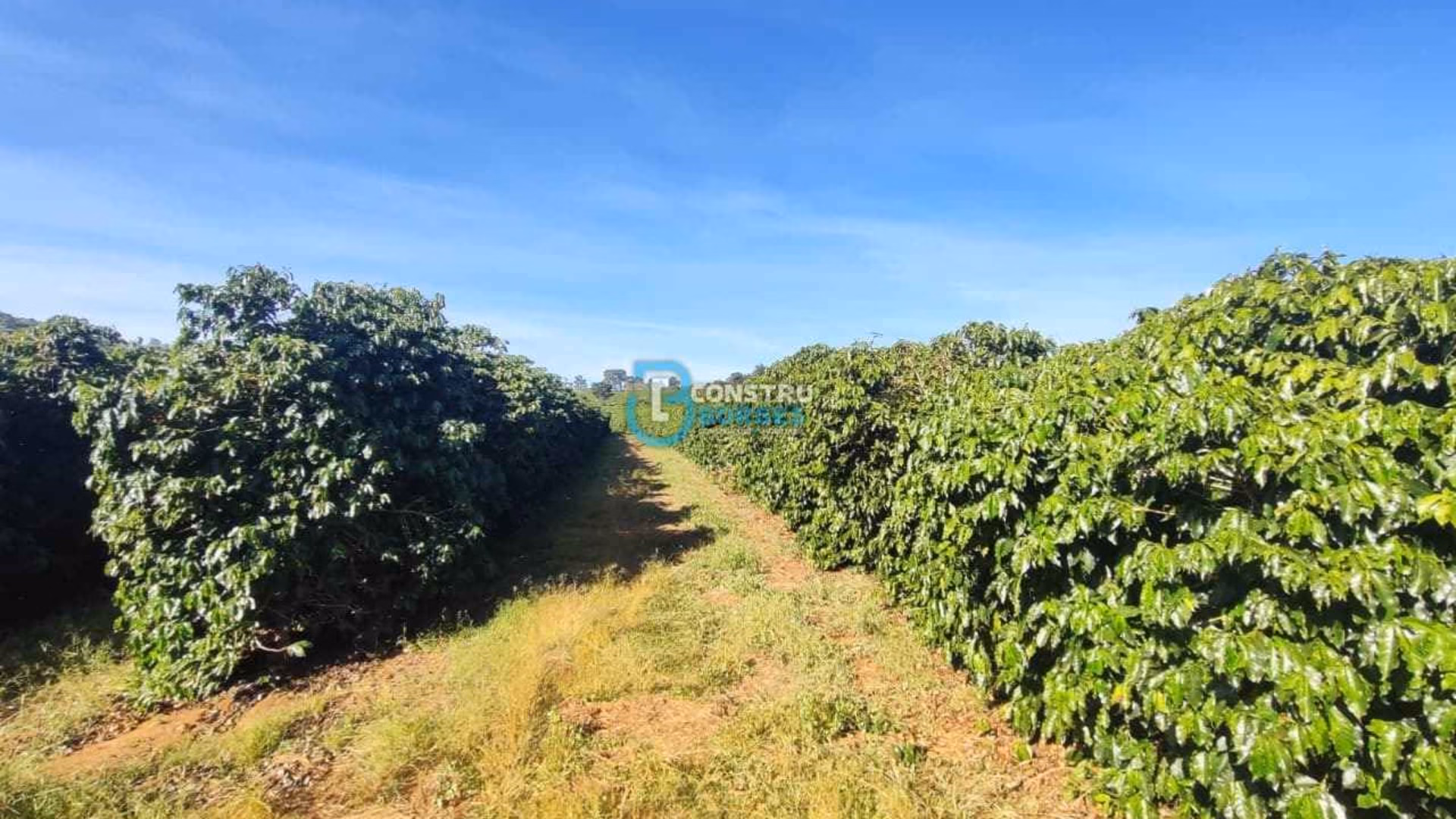 Imóvel rural em Patrocínio, MG - Foto 20