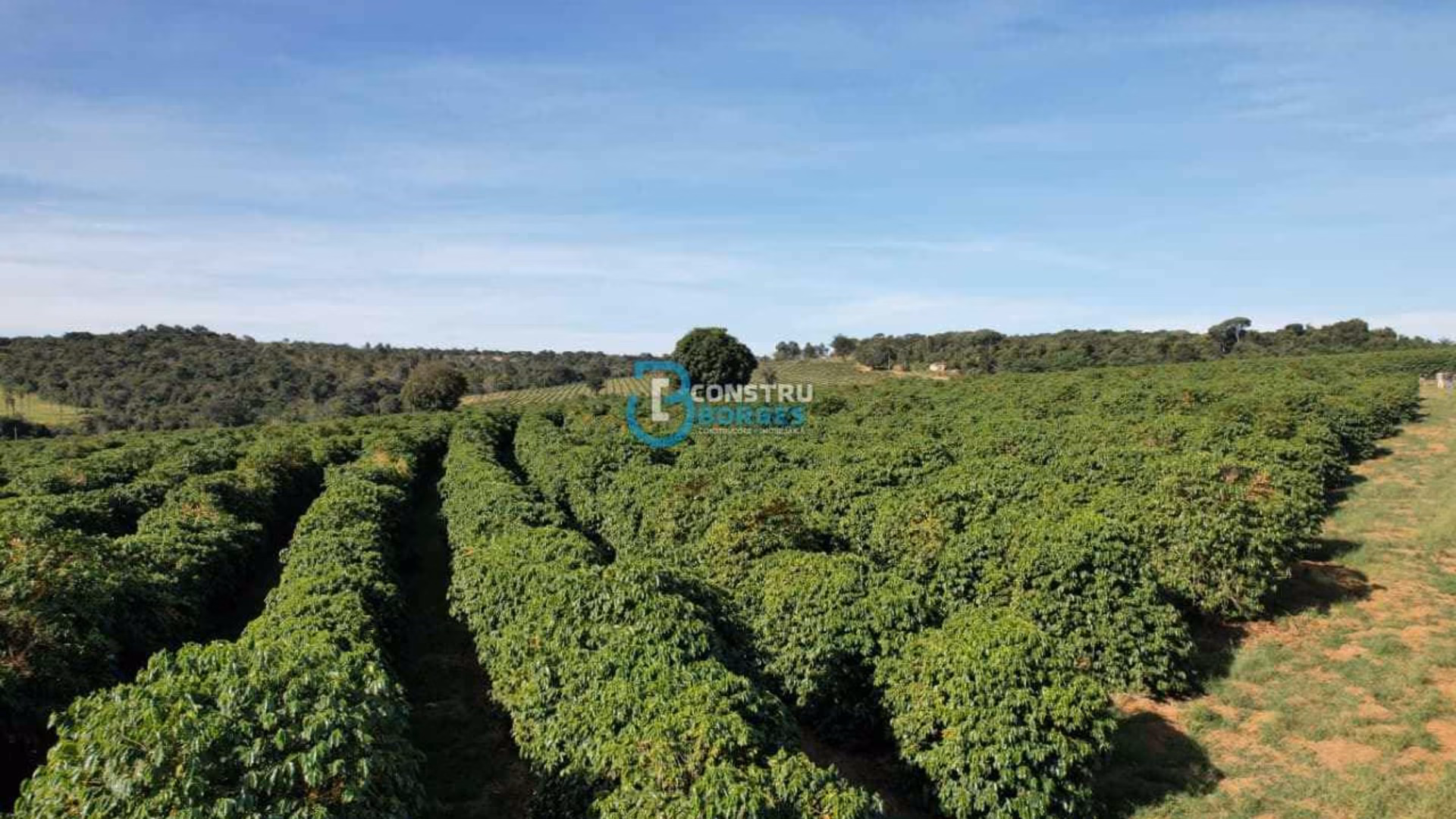Imóvel rural em Patrocínio, MG - Foto 22