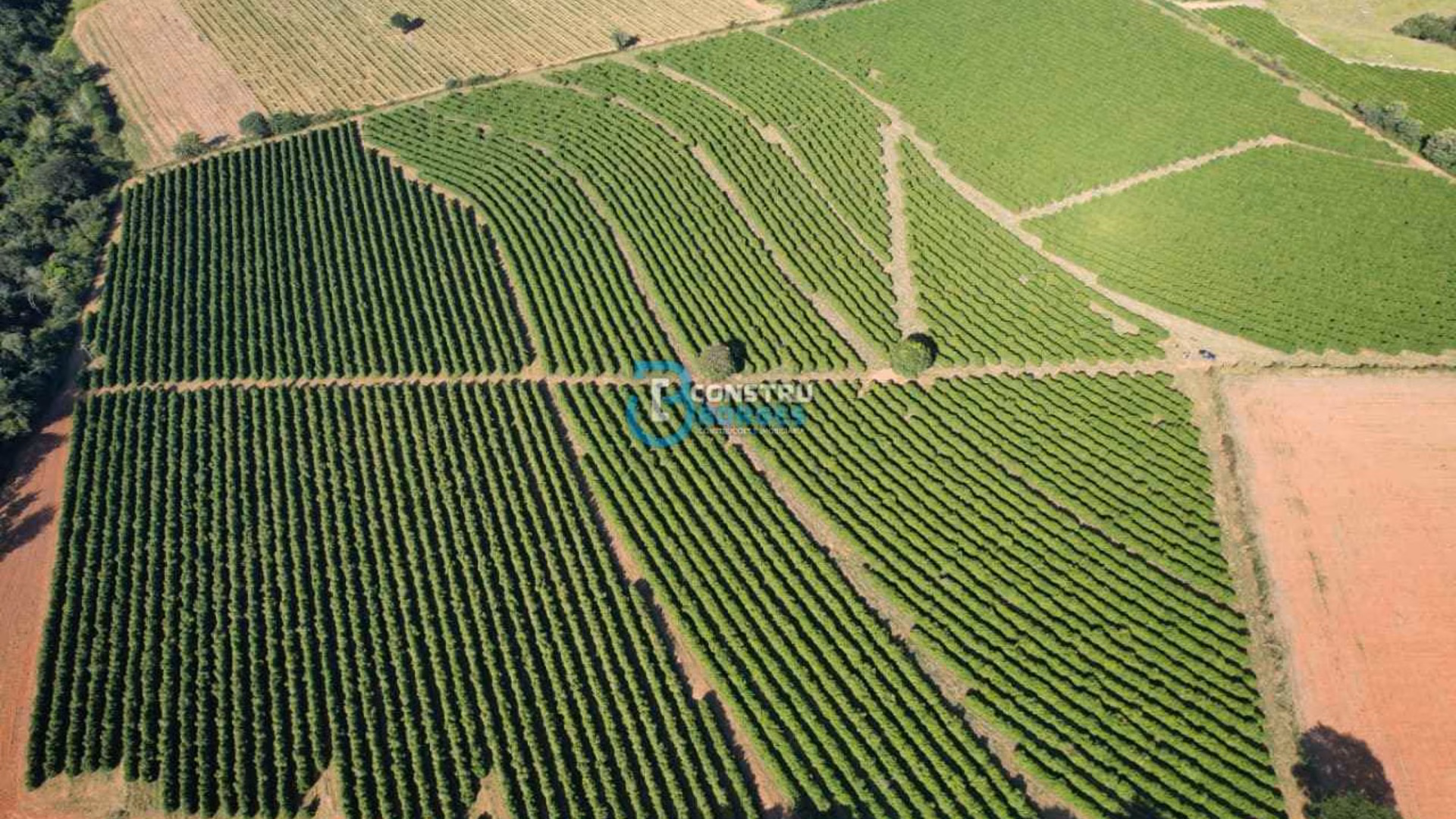 Imóvel rural em Patrocínio, MG - Foto 26
