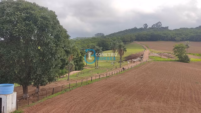 Imóvel rural em Patrocínio, MG - Foto 3